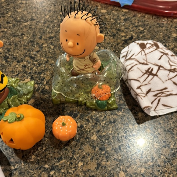 It’s the Great Pumpkin Charlie Brown - Picture 8 of 9